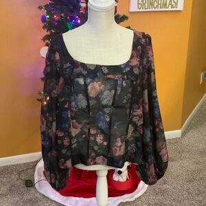 NWT Anthropologie Women’s Size XL Sheer Blouse, Beautiful!